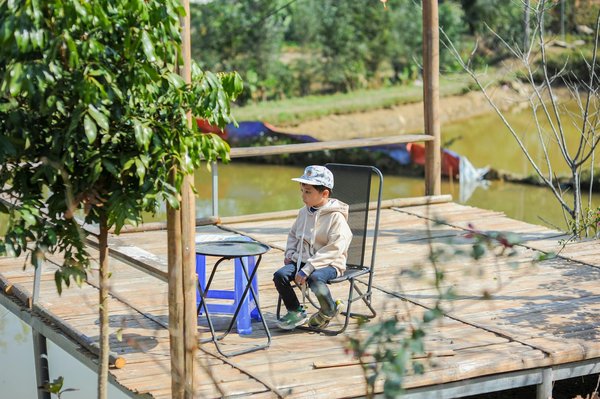 Arborer un style de vie végétarien : Guide pour débutants