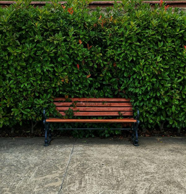 Découvrez le banc de jardin hespéride alvernia parfait pour votre extérieur