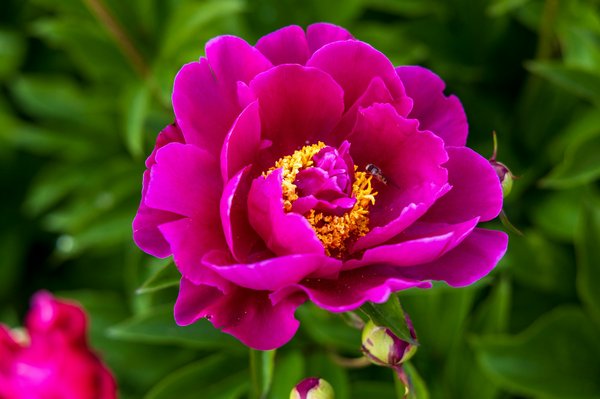 Tout savoir sur le gaz vert : avantages et fournisseurs